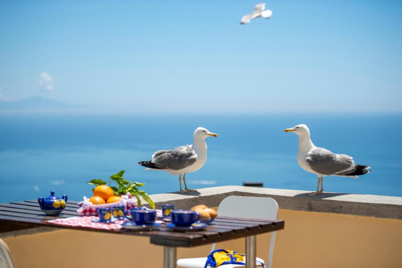 Casa Licia Apartment Positano Ngoại thất bức ảnh